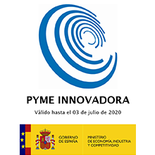 PYME INNOVADORA